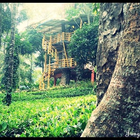 Jungle Jive Tree House Munnar Bed & Breakfast Exterior photo