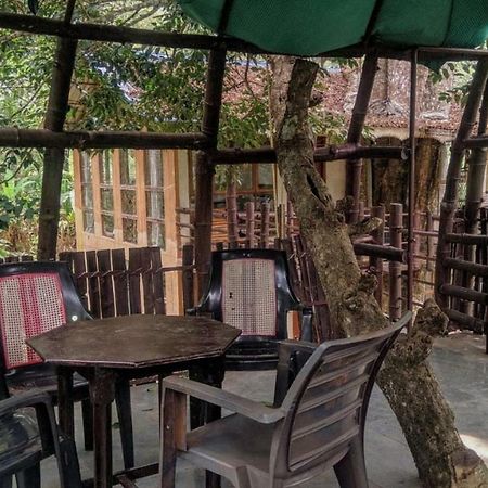 Jungle Jive Tree House Munnar Bed & Breakfast Exterior photo