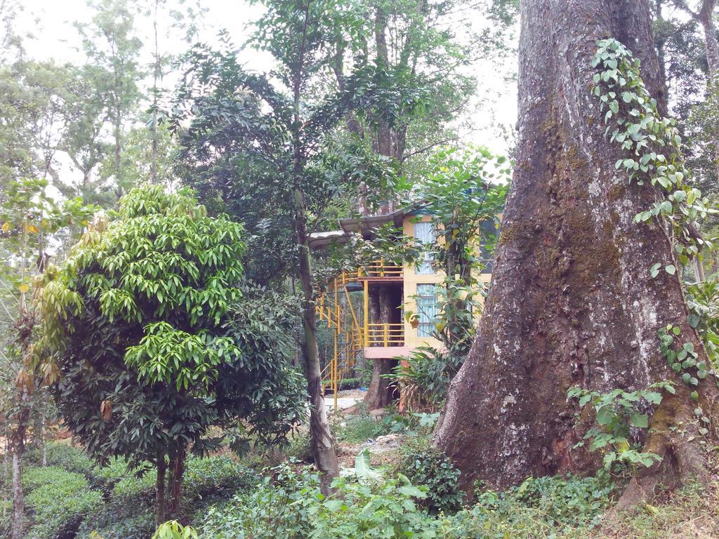 Jungle Jive Tree House Munnar Bed & Breakfast Room photo