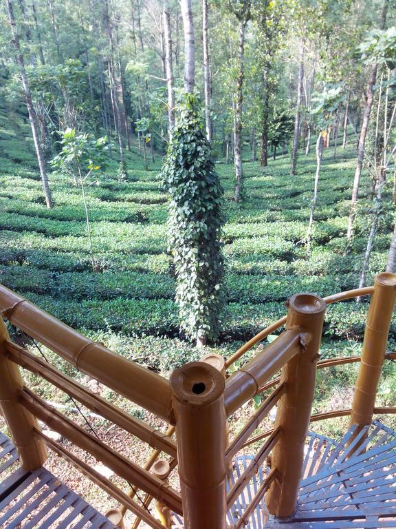 Jungle Jive Tree House Munnar Bed & Breakfast Room photo