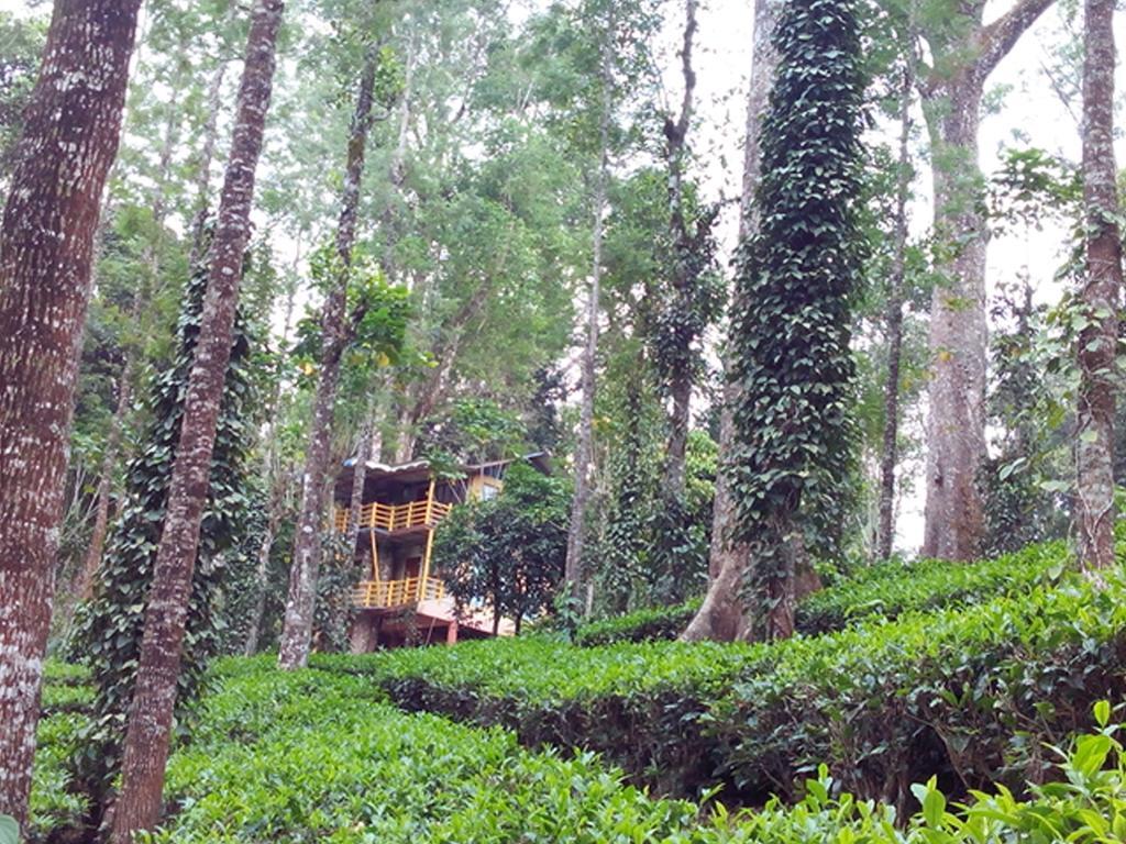 Jungle Jive Tree House Munnar Bed & Breakfast Exterior photo