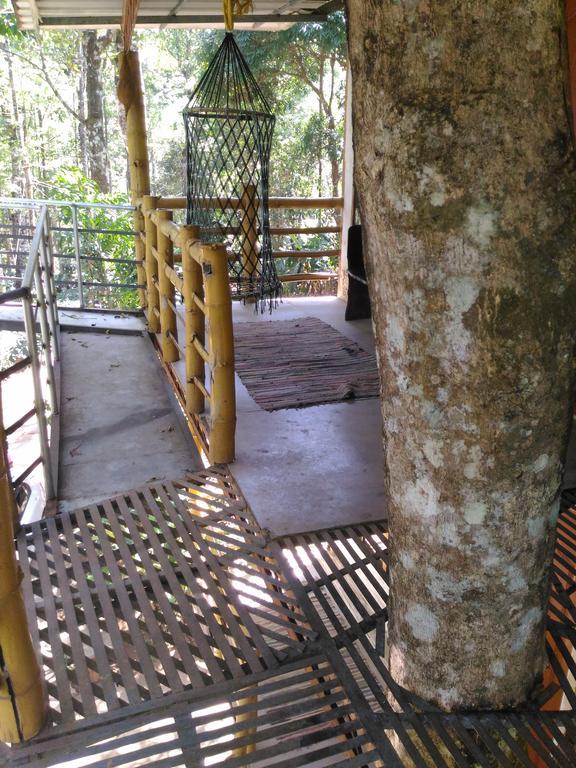 Jungle Jive Tree House Munnar Bed & Breakfast Exterior photo
