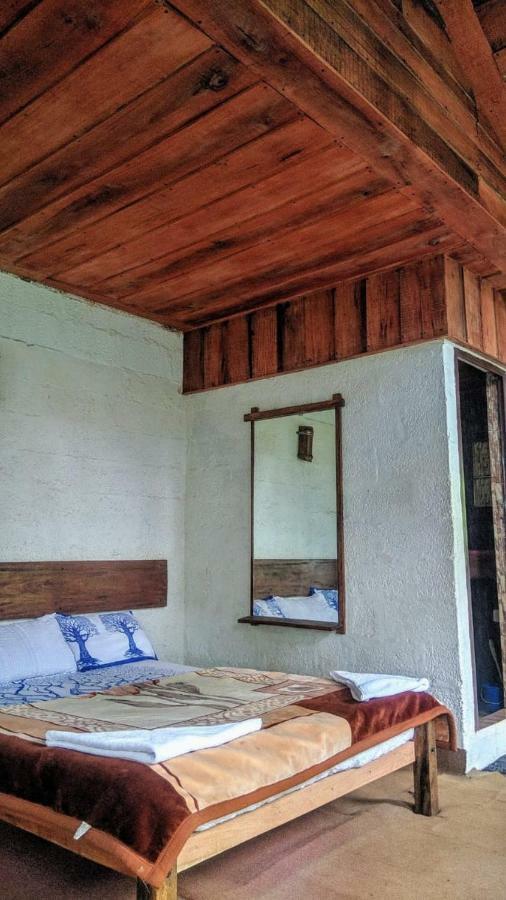 Jungle Jive Tree House Munnar Bed & Breakfast Exterior photo