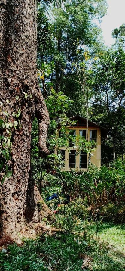 Jungle Jive Tree House Munnar Bed & Breakfast Exterior photo